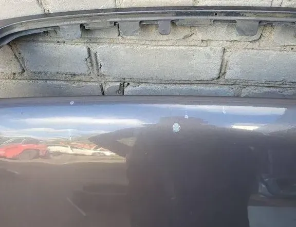 VOLVO XC90 1 generation (2002-2014) Panser 34981163