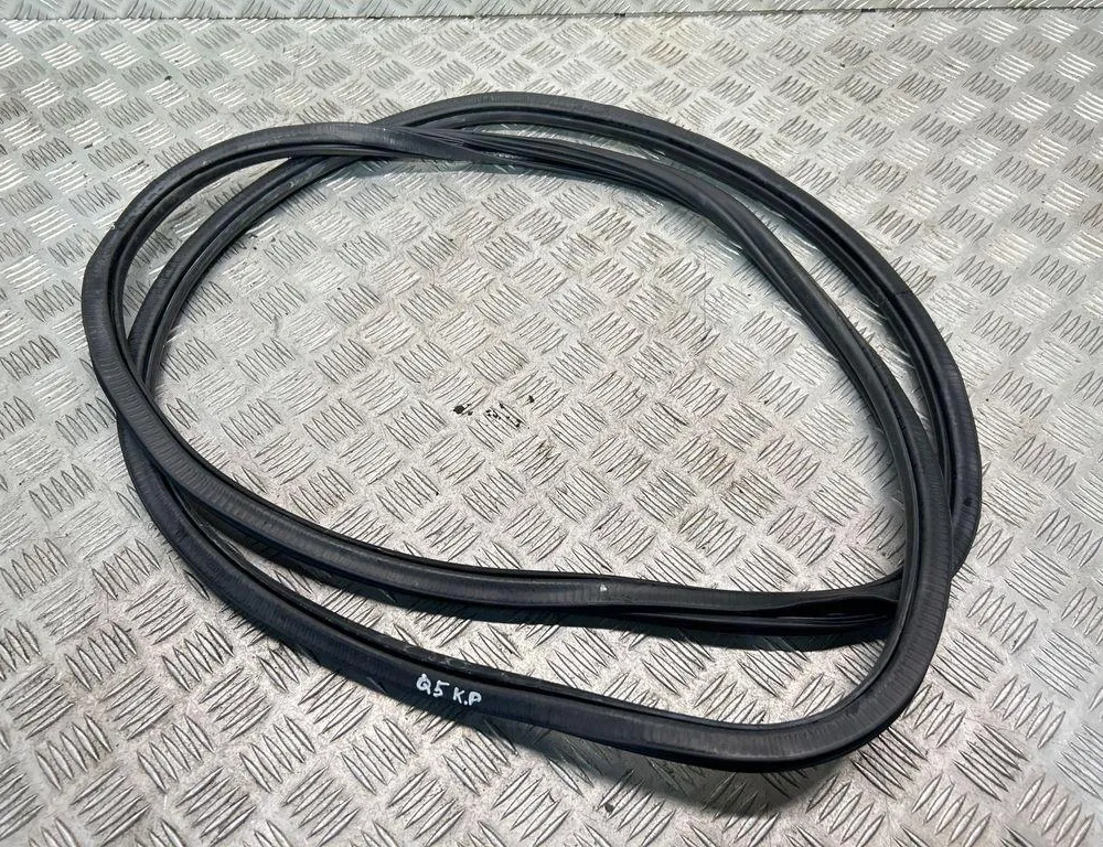 AUDI Q5 8R (2008-2017) Front venstre dørpakning gummi 34985094