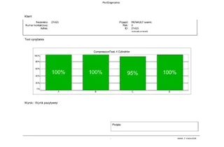 RENAULT Megane 2 generation (2002-2012) Motor 34984253