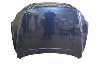 VOLVO XC90 1 generation (2002-2014) Panser 32643756